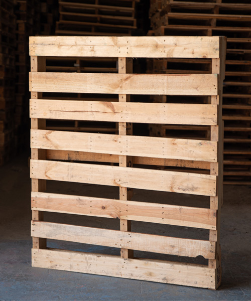 tarimas, tarimas de madera, venta de tarimas, tarimas recicladas, tarimas para exportacion, tarimas de madera nuevas para exportacion, tarimas con tratamiento para exportacion, tarimas nuevas con tratamiento para exportacion, venta de tarimas de madera, tarimas de madera recicladas, venta de tarimas de madera recicladas, tarimas en monterrey, tarimas de madera en monterrey, venta de tarimas en monterrey, tarimas recicladas en monterrey, tarimas para exportacion en monterrey, tarimas de madera nuevas para exportacion en monterrey, tarimas con tratamiento para exportacion en monterrey, tarimas nuevas con tratamiento para exportacion en monterrey, venta de tarimas de madera en monterrey, tarimas de madera recicladas en monterrey, venta de tarimas de madera recicladas en monterrey,