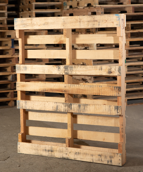 tarimas, tarimas de madera, venta de tarimas, tarimas recicladas, tarimas para exportacion, tarimas de madera nuevas para exportacion, tarimas con tratamiento para exportacion, tarimas nuevas con tratamiento para exportacion, venta de tarimas de madera, tarimas de madera recicladas, venta de tarimas de madera recicladas, tarimas en monterrey, tarimas de madera en monterrey, venta de tarimas en monterrey, tarimas recicladas en monterrey, tarimas para exportacion en monterrey, tarimas de madera nuevas para exportacion en monterrey, tarimas con tratamiento para exportacion en monterrey, tarimas nuevas con tratamiento para exportacion en monterrey, venta de tarimas de madera en monterrey, tarimas de madera recicladas en monterrey, venta de tarimas de madera recicladas en monterrey,