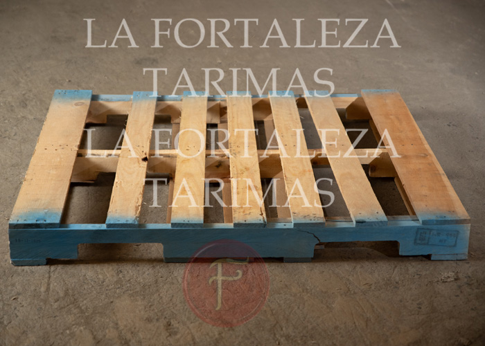 tarimas, tarimas de madera, venta de tarimas, tarimas recicladas, tarimas para exportacion, tarimas de madera nuevas para exportacion, tarimas con tratamiento para exportacion, tarimas nuevas con tratamiento para exportacion, venta de tarimas de madera, tarimas de madera recicladas, venta de tarimas de madera recicladas, tarimas en monterrey, tarimas de madera en monterrey, venta de tarimas en monterrey, tarimas recicladas en monterrey, tarimas para exportacion en monterrey, tarimas de madera nuevas para exportacion en monterrey, tarimas con tratamiento para exportacion en monterrey, tarimas nuevas con tratamiento para exportacion en monterrey, venta de tarimas de madera en monterrey, tarimas de madera recicladas en monterrey, venta de tarimas de madera recicladas en monterrey,
