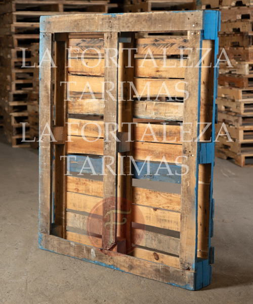 tarimas, tarimas de madera, venta de tarimas, tarimas recicladas, tarimas para exportacion, tarimas de madera nuevas para exportacion, tarimas con tratamiento para exportacion, tarimas nuevas con tratamiento para exportacion, venta de tarimas de madera, tarimas de madera recicladas, venta de tarimas de madera recicladas, tarimas en monterrey, tarimas de madera en monterrey, venta de tarimas en monterrey, tarimas recicladas en monterrey, tarimas para exportacion en monterrey, tarimas de madera nuevas para exportacion en monterrey, tarimas con tratamiento para exportacion en monterrey, tarimas nuevas con tratamiento para exportacion en monterrey, venta de tarimas de madera en monterrey, tarimas de madera recicladas en monterrey, venta de tarimas de madera recicladas en monterrey,