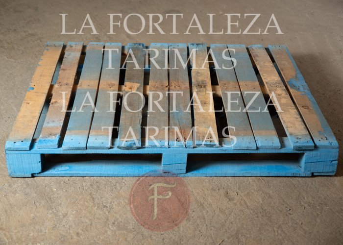 tarimas, tarimas de madera, venta de tarimas, tarimas recicladas, tarimas para exportacion, tarimas de madera nuevas para exportacion, tarimas con tratamiento para exportacion, tarimas nuevas con tratamiento para exportacion, venta de tarimas de madera, tarimas de madera recicladas, venta de tarimas de madera recicladas, tarimas en monterrey, tarimas de madera en monterrey, venta de tarimas en monterrey, tarimas recicladas en monterrey, tarimas para exportacion en monterrey, tarimas de madera nuevas para exportacion en monterrey, tarimas con tratamiento para exportacion en monterrey, tarimas nuevas con tratamiento para exportacion en monterrey, venta de tarimas de madera en monterrey, tarimas de madera recicladas en monterrey, venta de tarimas de madera recicladas en monterrey,