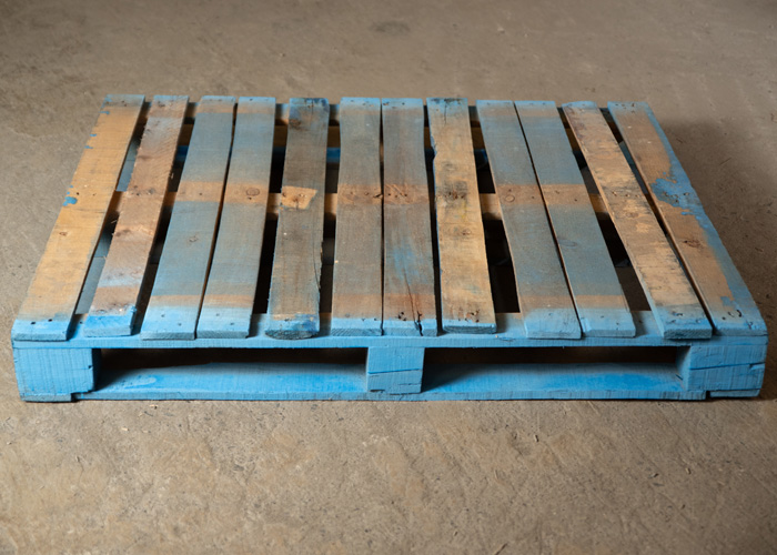 tarimas, tarimas de madera, venta de tarimas, tarimas recicladas, tarimas para exportacion, tarimas de madera nuevas para exportacion, tarimas con tratamiento para exportacion, tarimas nuevas con tratamiento para exportacion, venta de tarimas de madera, tarimas de madera recicladas, venta de tarimas de madera recicladas, tarimas en monterrey, tarimas de madera en monterrey, venta de tarimas en monterrey, tarimas recicladas en monterrey, tarimas para exportacion en monterrey, tarimas de madera nuevas para exportacion en monterrey, tarimas con tratamiento para exportacion en monterrey, tarimas nuevas con tratamiento para exportacion en monterrey, venta de tarimas de madera en monterrey, tarimas de madera recicladas en monterrey, venta de tarimas de madera recicladas en monterrey,