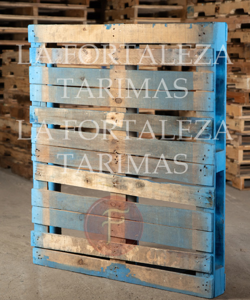 tarimas, tarimas de madera, venta de tarimas, tarimas recicladas, tarimas para exportacion, tarimas de madera nuevas para exportacion, tarimas con tratamiento para exportacion, tarimas nuevas con tratamiento para exportacion, venta de tarimas de madera, tarimas de madera recicladas, venta de tarimas de madera recicladas, tarimas en monterrey, tarimas de madera en monterrey, venta de tarimas en monterrey, tarimas recicladas en monterrey, tarimas para exportacion en monterrey, tarimas de madera nuevas para exportacion en monterrey, tarimas con tratamiento para exportacion en monterrey, tarimas nuevas con tratamiento para exportacion en monterrey, venta de tarimas de madera en monterrey, tarimas de madera recicladas en monterrey, venta de tarimas de madera recicladas en monterrey,