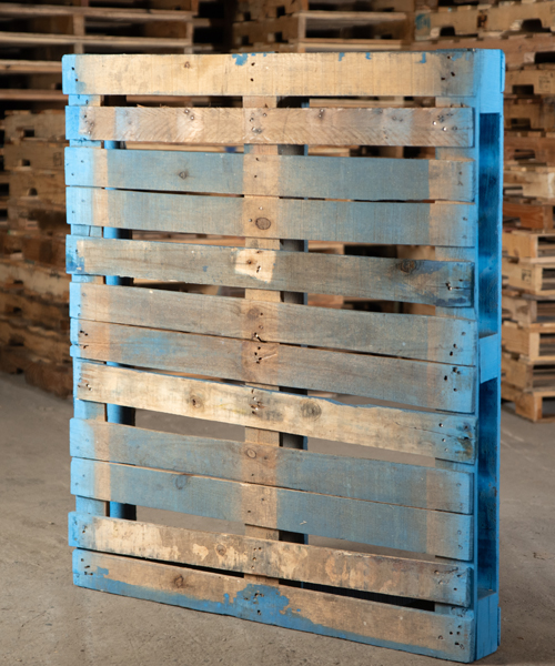 tarimas, tarimas de madera, venta de tarimas, tarimas recicladas, tarimas para exportacion, tarimas de madera nuevas para exportacion, tarimas con tratamiento para exportacion, tarimas nuevas con tratamiento para exportacion, venta de tarimas de madera, tarimas de madera recicladas, venta de tarimas de madera recicladas, tarimas en monterrey, tarimas de madera en monterrey, venta de tarimas en monterrey, tarimas recicladas en monterrey, tarimas para exportacion en monterrey, tarimas de madera nuevas para exportacion en monterrey, tarimas con tratamiento para exportacion en monterrey, tarimas nuevas con tratamiento para exportacion en monterrey, venta de tarimas de madera en monterrey, tarimas de madera recicladas en monterrey, venta de tarimas de madera recicladas en monterrey,